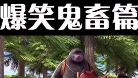 阎鹤祥，郭麒麟不是段子，是我的处境
