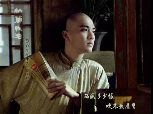天涯赤子心，一部深情厚意的60集史诗