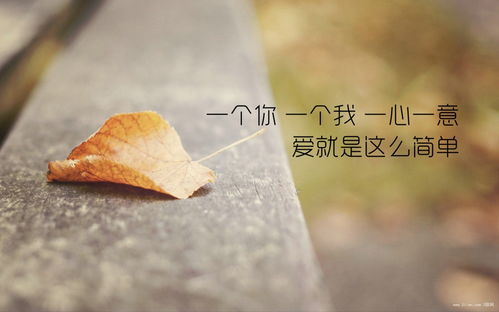 爱你情深蚀骨——一场关于真挚爱情的独白