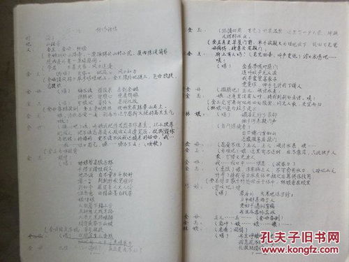 回到古代当富翁（电视剧剧本 100集）