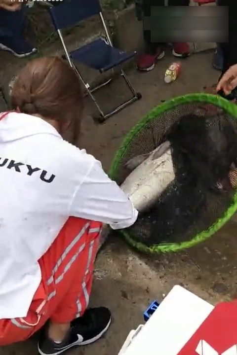 海小姐跑不掉啦
