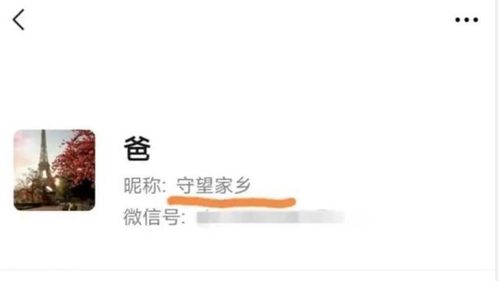 极品大总管（98集），权力与智慧的交织