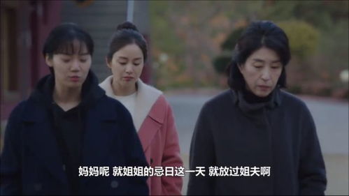 妈妈，再见（28集）