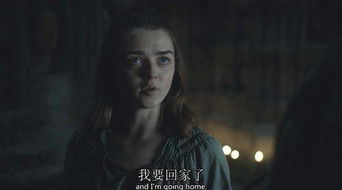 女首富的复仇，权力与复仇的交织