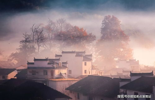 何以为家（第70集），探寻生活的意义与价值