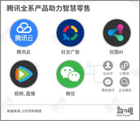 史上最强内总管，权力与智慧的交织（100集深度解析）