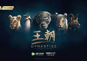 惊龙（第1-103集），探寻古代神话中的传奇生物与人性光辉
