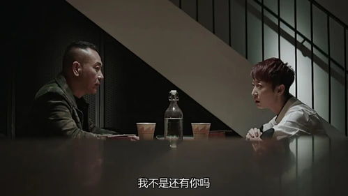 谎言二十年，一部跨越二十载的错综复杂的情感悬疑剧（80集剧情解析）