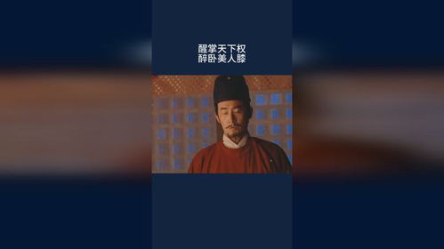 醉卧美人膝，醒掌天下权——权力与情感的交织（100集剧情概述）