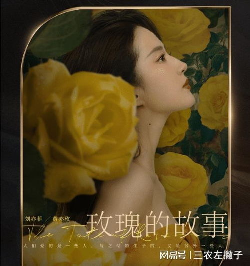 玫瑰的故事之闪耀的她——胡冬晴（66集）