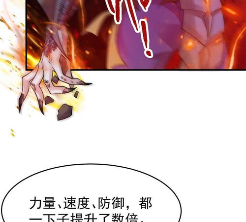 我本狂婿，清晰版本的人生篇章