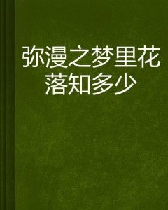 梦里花落知多少（80集）