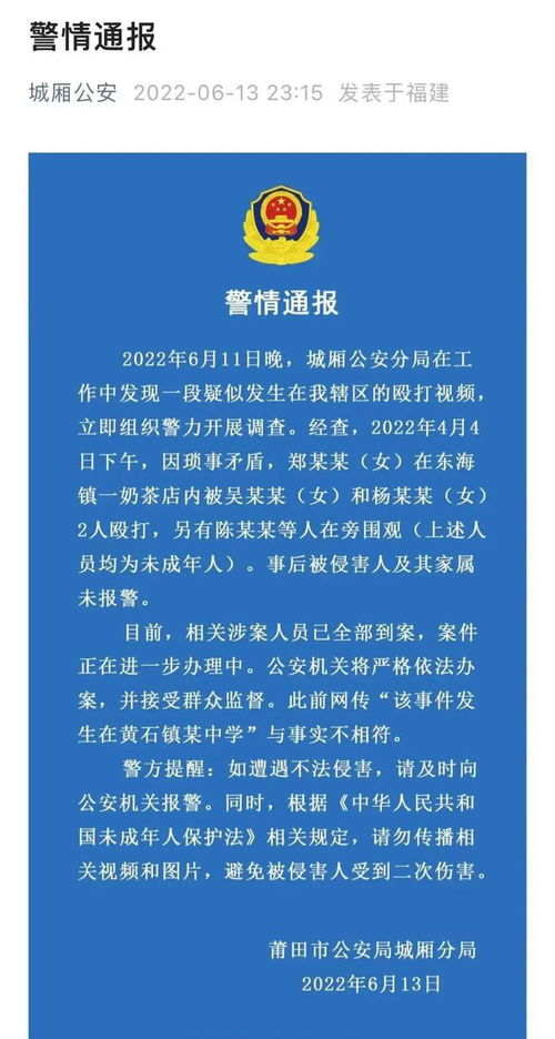 中领馆通报德国针对中国女性强奸案，深度分析与应对之道