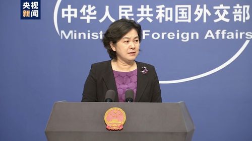 华春莹点赞机械狗在泰山，科技与自然共舞的新篇章