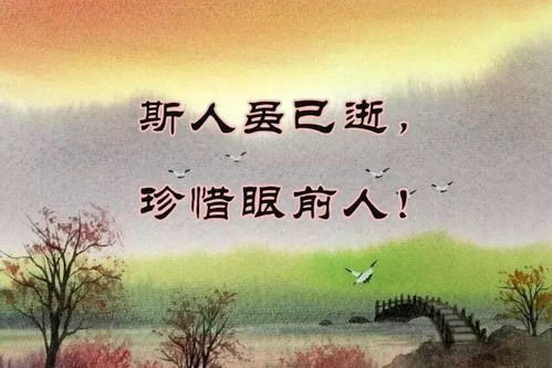 许你岁岁欢，人生的美好愿景与真挚祝愿