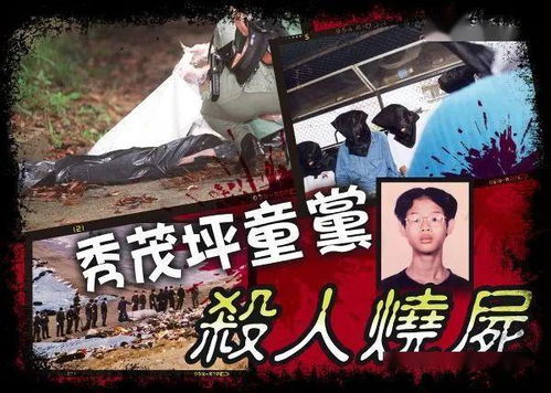 抢婚风云，陆总蓄谋已久（99集）