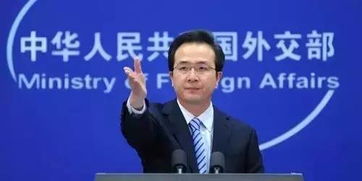 洪磊任外交部部长助理，角色定位与外交策略分析