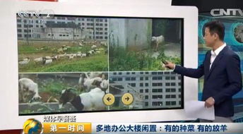 全国多地惊现大海潮，原因何在