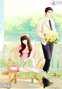 新娇妻难囚，爱的挑战与征服
