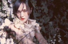 高手下山之美女如云