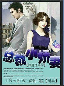 顾总虐妻成瘾，深度剖析一部都市情感悲剧（100集）