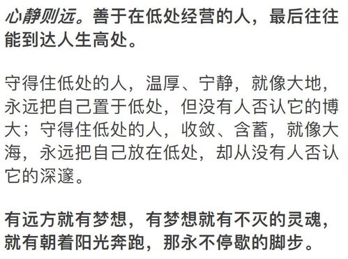 蓄谋已久，历总的明撩暗拱策略揭秘
