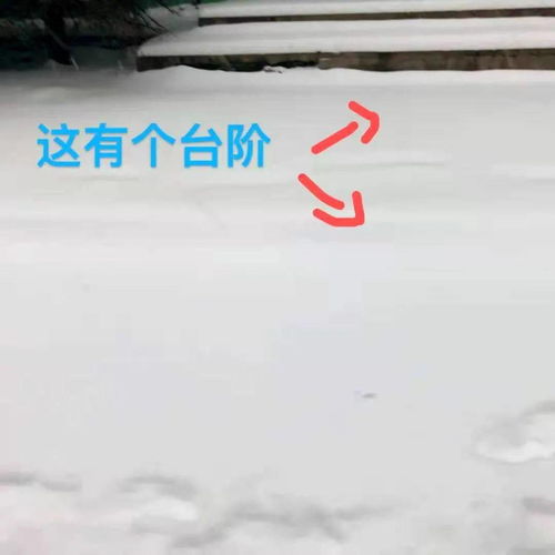 宫墙雪（99集），历史的深度与情感的厚度