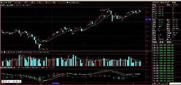 周大福业绩下滑背后的金价上涨因素深度解析