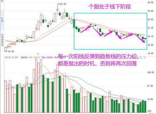 中国股市参与度只有10%的原因探究