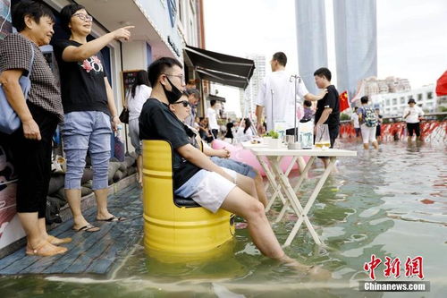 专家解析，天文大潮是海水倒灌的主要原因