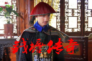 医王霸婿，权谋与医术的交织传奇