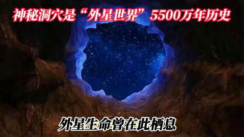 仙问，探寻神秘世界的81集旅程
