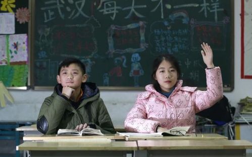 霍总，你别婚了头（头集至十集）