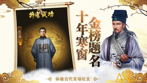 医婿无双，医术与情感的双重胜利