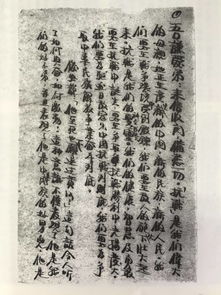 长姐如母，岁月中的温情与责任（83集深度解析）