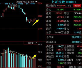 业内观察，中国股市反弹将进入第二阶段