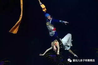 新版，回到古代当驸马——穿越时空的浪漫传奇