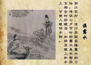 且以深情共白首（94集）