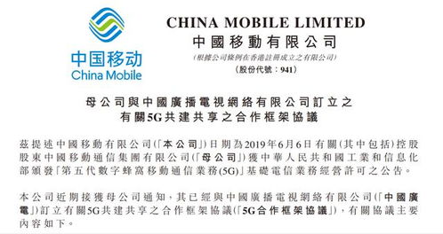 足疗圣手，深度解读与体验分享（91集）