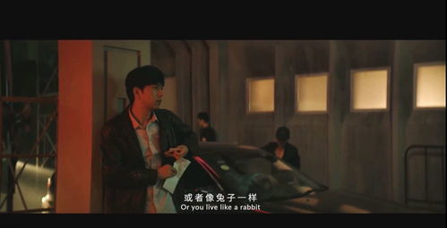 夜来南风起（86集）剧情深度解析与赏析