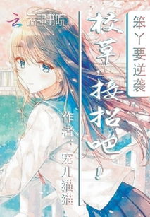 女仆逆袭记，从卑微到辉煌的奋斗篇章