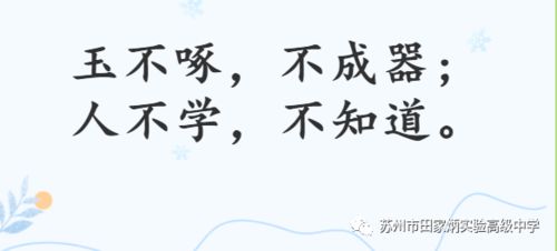 升堂见母（63集），探寻深厚的母爱与人生智慧