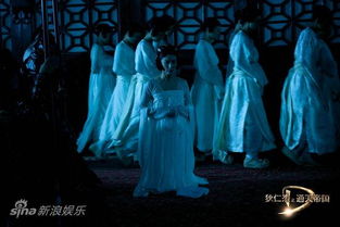 了不起的寒王妃（100集），权力与情感的交织