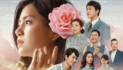 时光正好之老婆快跑（李梦莹篇）——80集精彩连续剧探秘