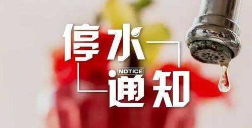 全城停电，我不行之力（33集）