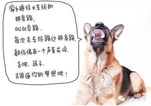 相亲遇到小奶狗（80集），都市情缘的展开