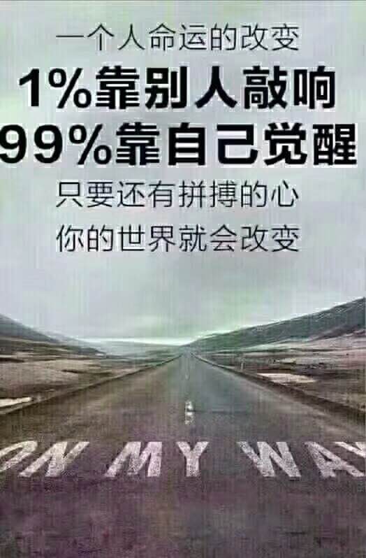 我的百亿人生（81集）——探寻成功之路的奥秘与智慧