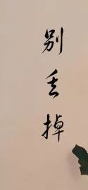 毒宠（79集），深度解析与感悟