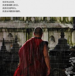 罪妻难逃，爱与救赎的挣扎