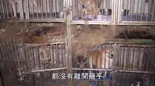 八角笼中的妈妈，一部深度探讨家庭与人性的70集力作